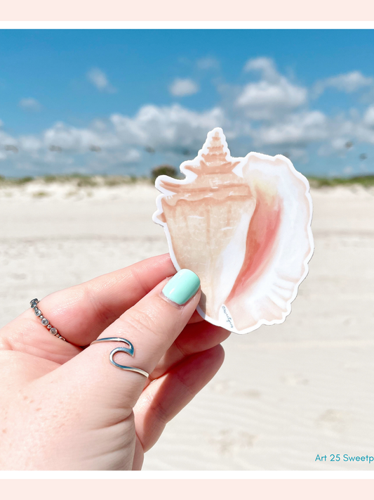 Queen Conch Shell Sticker, Beach Sticker
