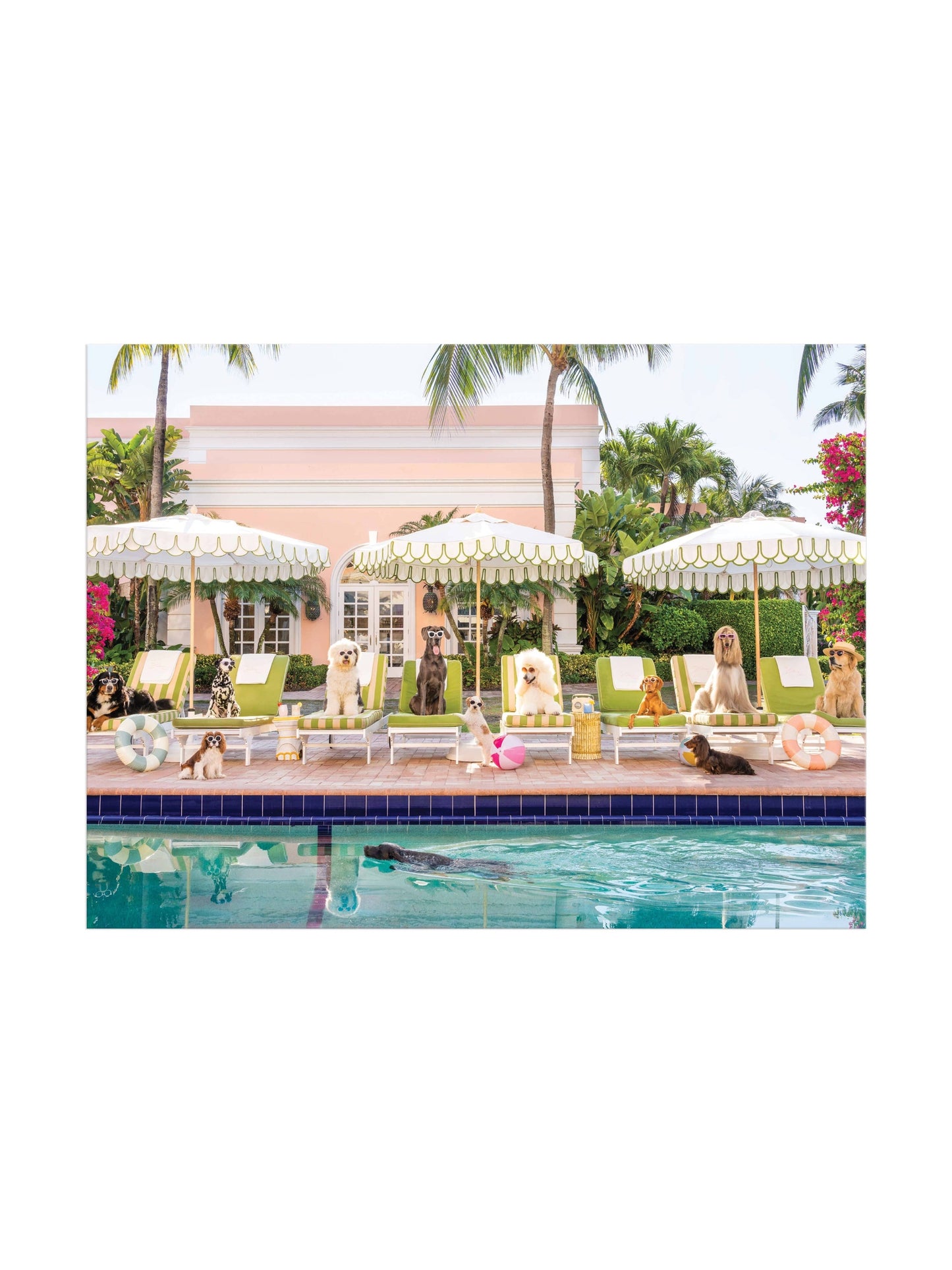 Gray Malin Palm Beach 1000 Piece Book Box Puzzle