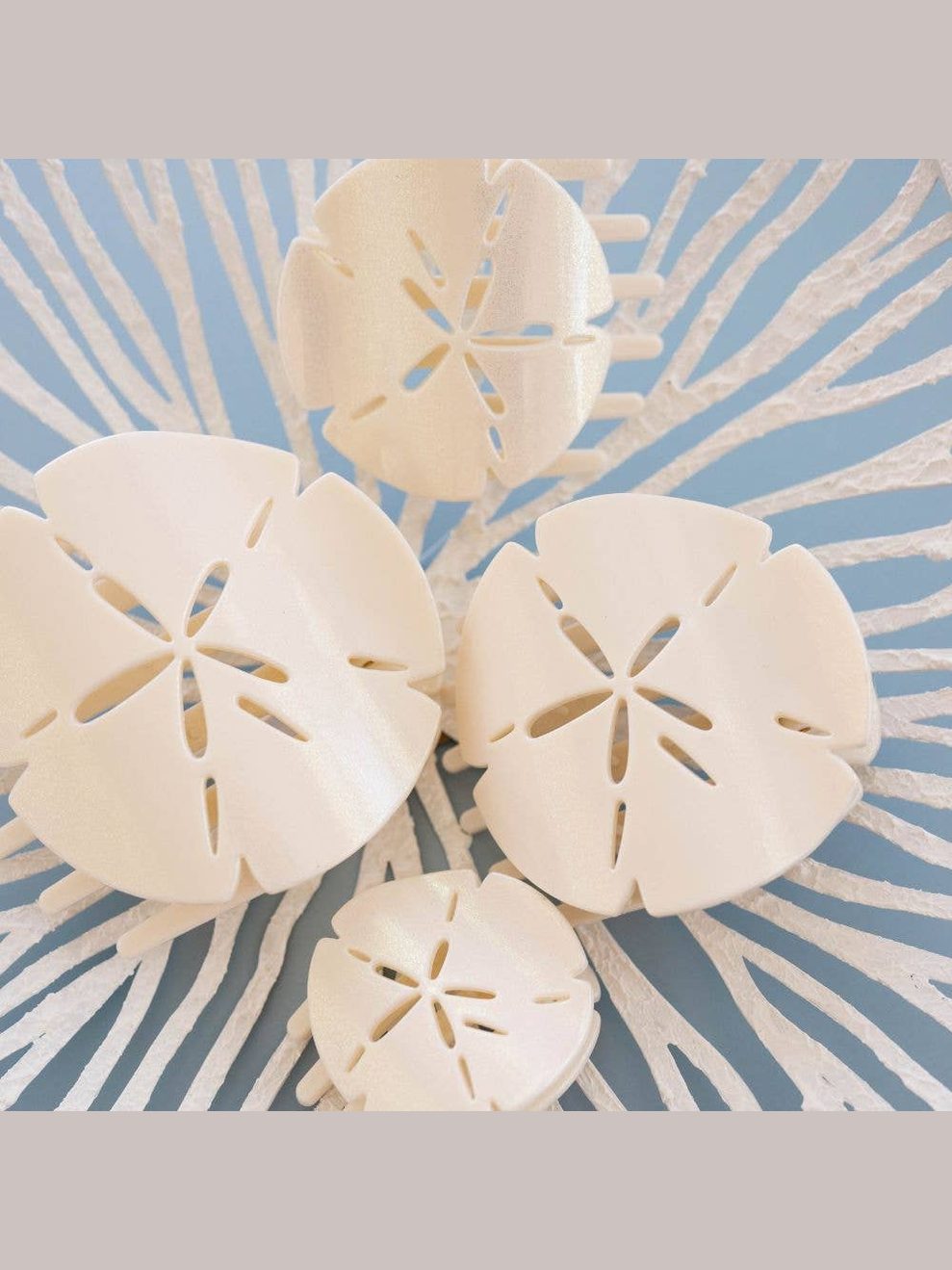 Sand Dollar | Small | Flat Shape Hair Clip