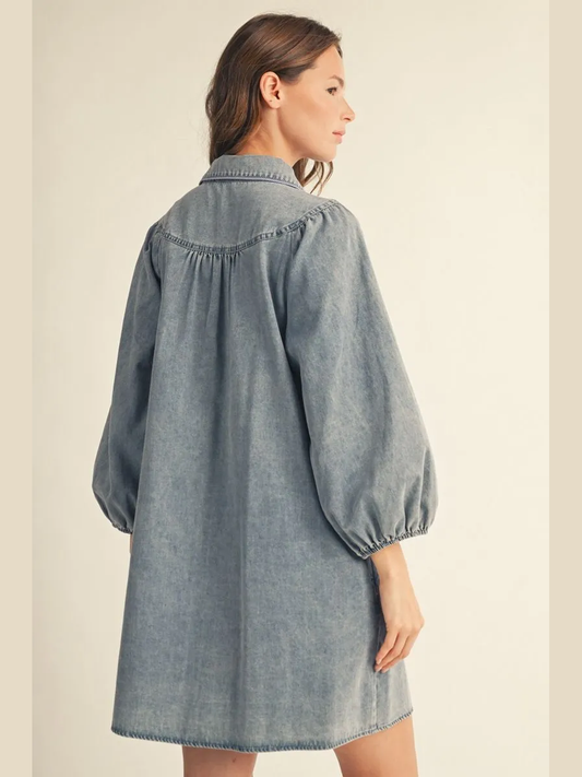 Denim Button Front Mini Dress