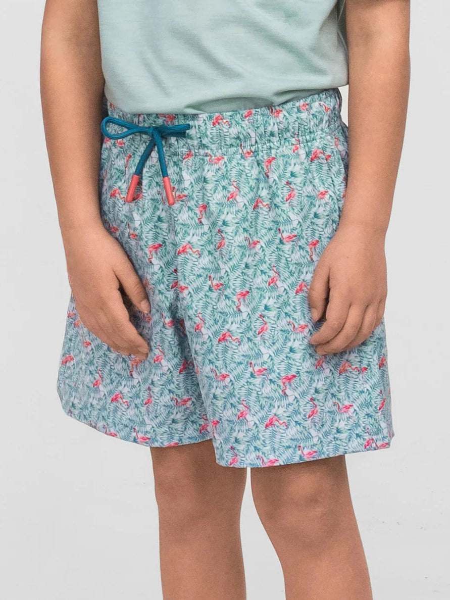 Boys Lets Flamingle Swim Shorts