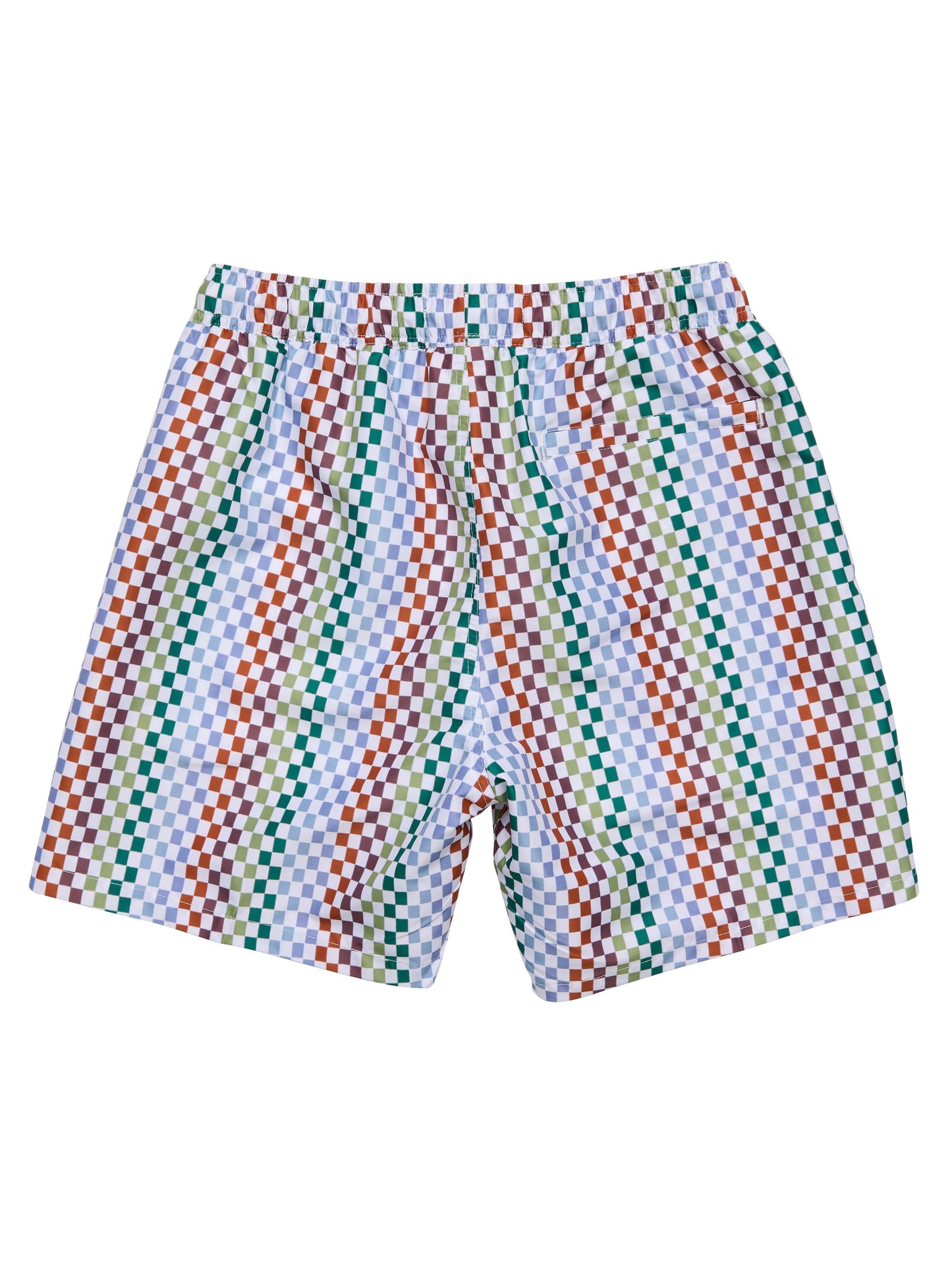 MENS BLOCK PARTY SWIM SHORT