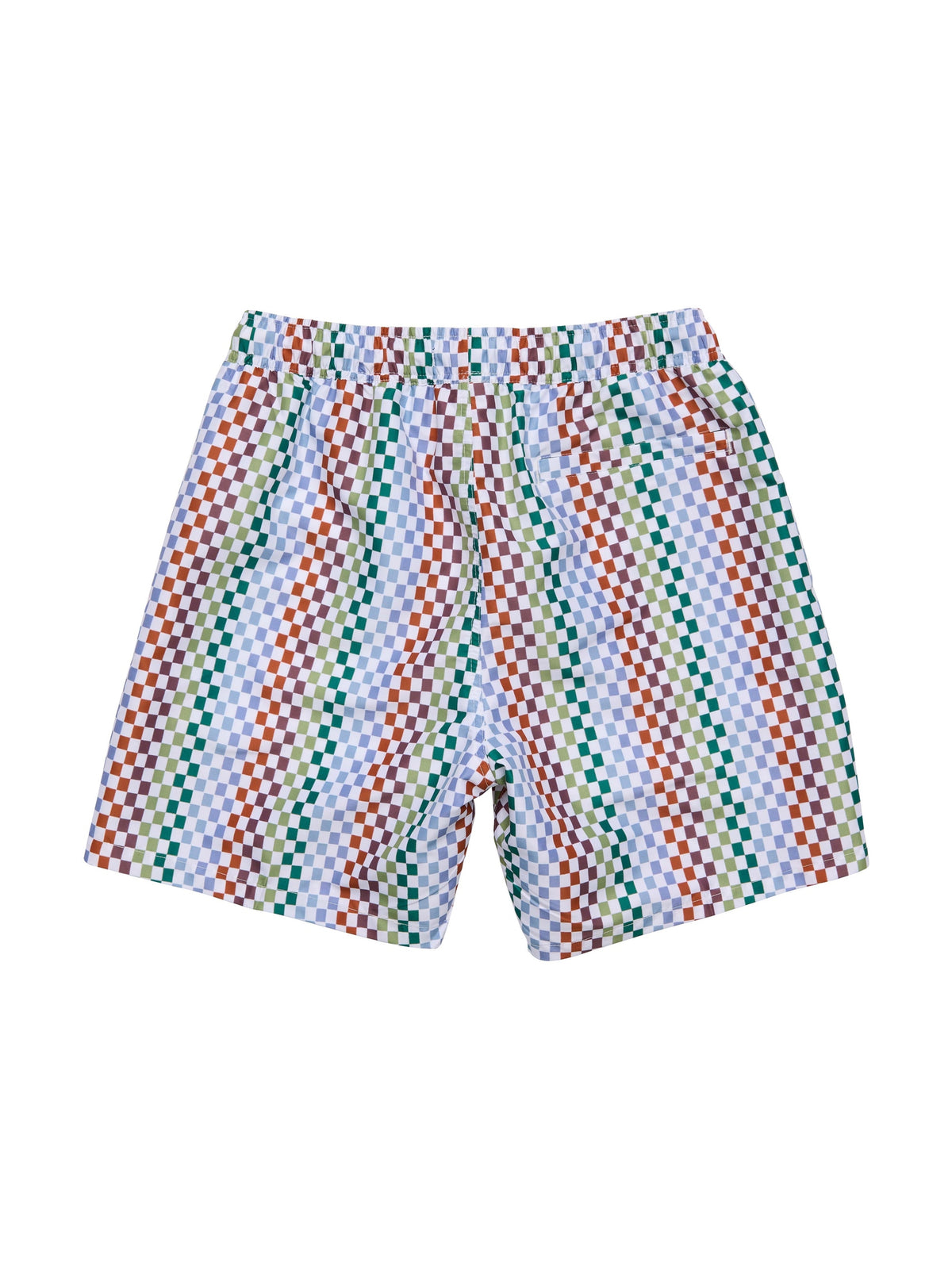 MENS BLOCK PARTY SWIM SHORT