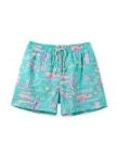 The Single and Ready to Flamingo Classic Lined Swim Trunks 5.5"