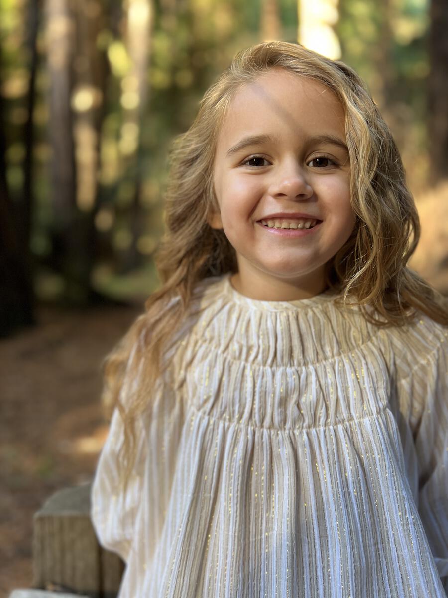 Embroidered smocked dress