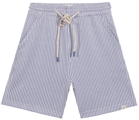 SPLISH blue seersucker swim shorts