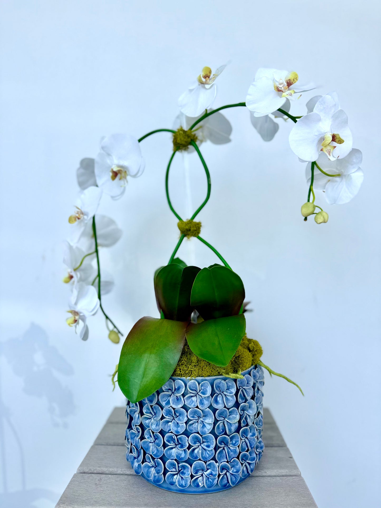 Double White Orchids in Blue Flower Pot