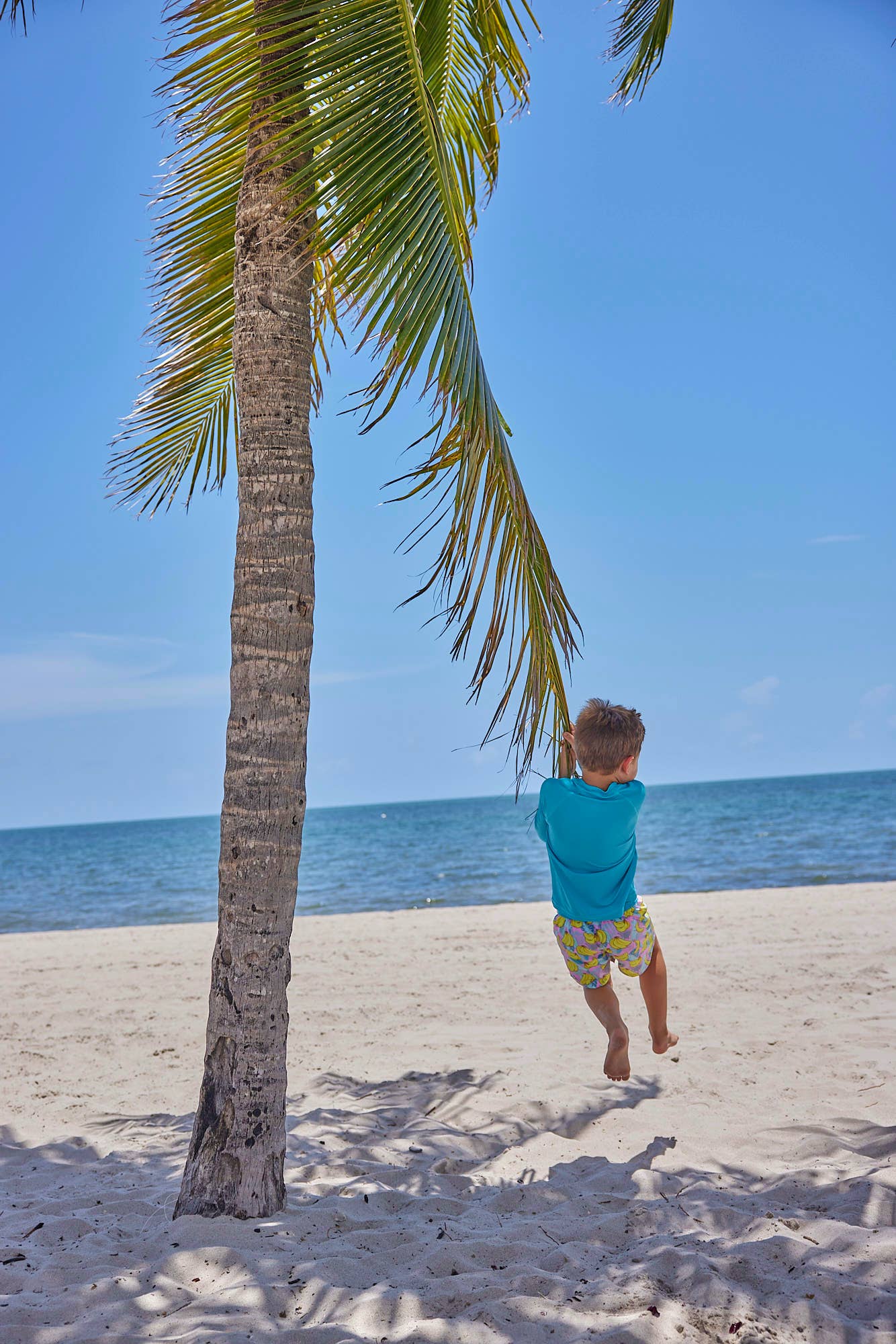 Salty Seagull Youth Rash Guard