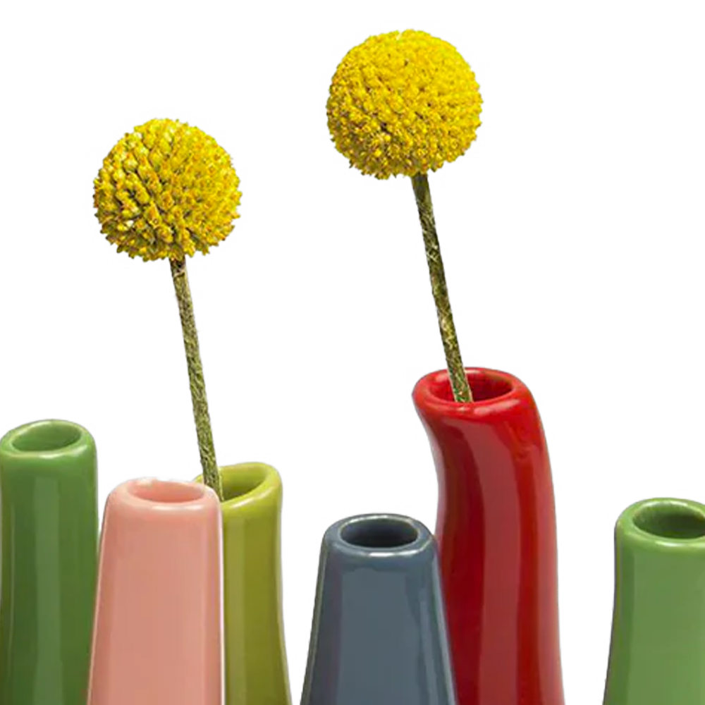 Pooley Colorful Bud Vase For Flower Arranging Rectangular