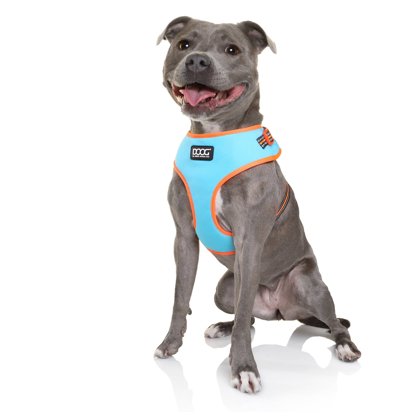 'Neoflex' Soft Harness - BEETHOVEN (Neon)