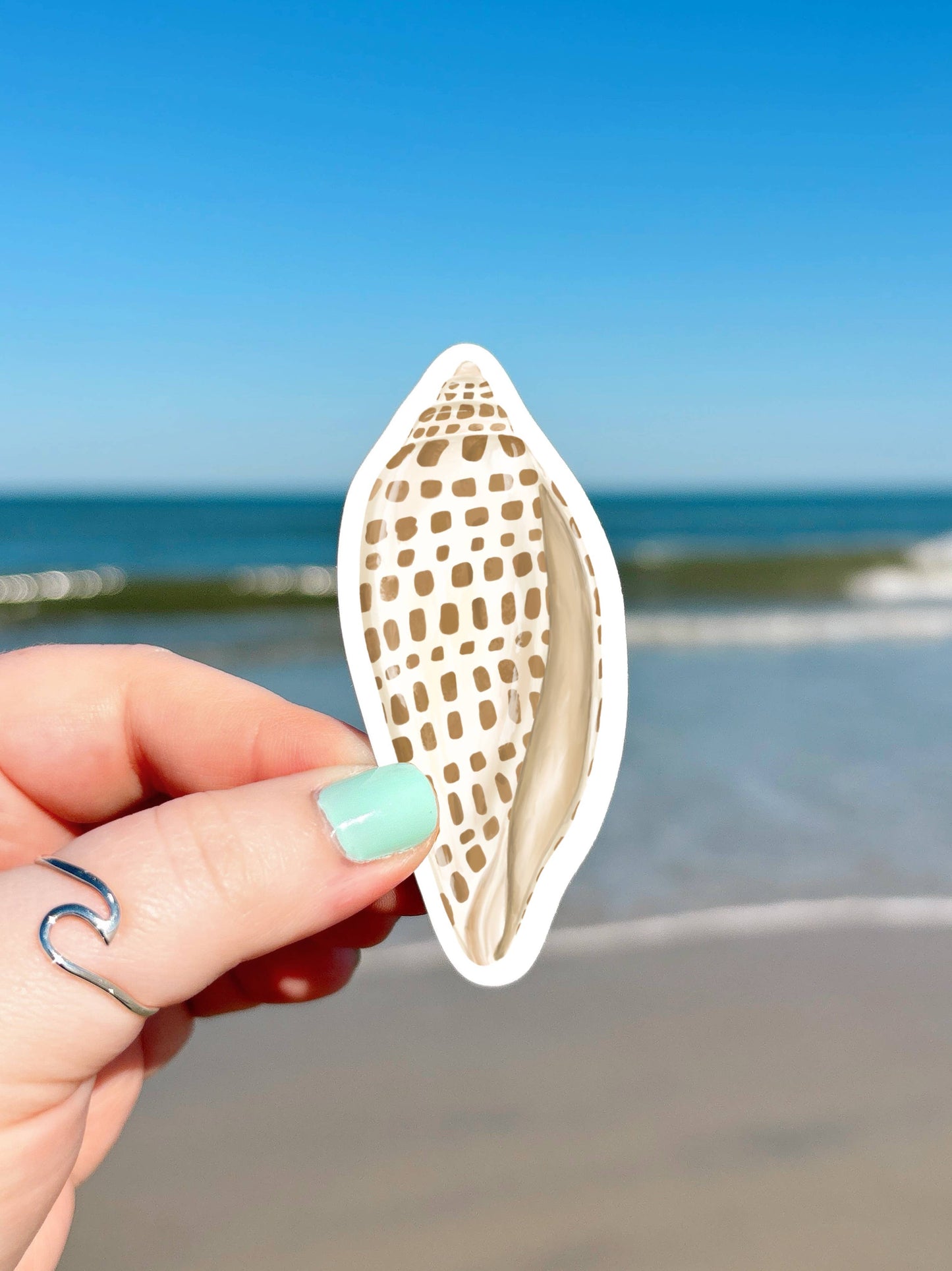 Junonia Shell Sticker, Beach Sticker