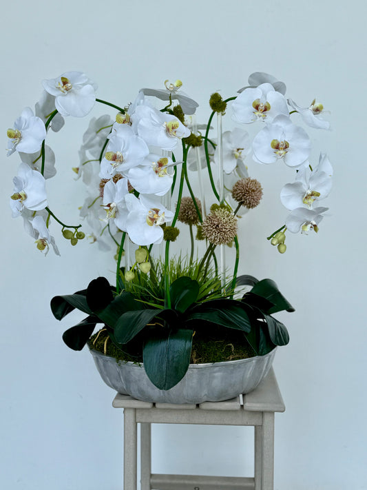 White Orchids and Allium Diamond Bowl
