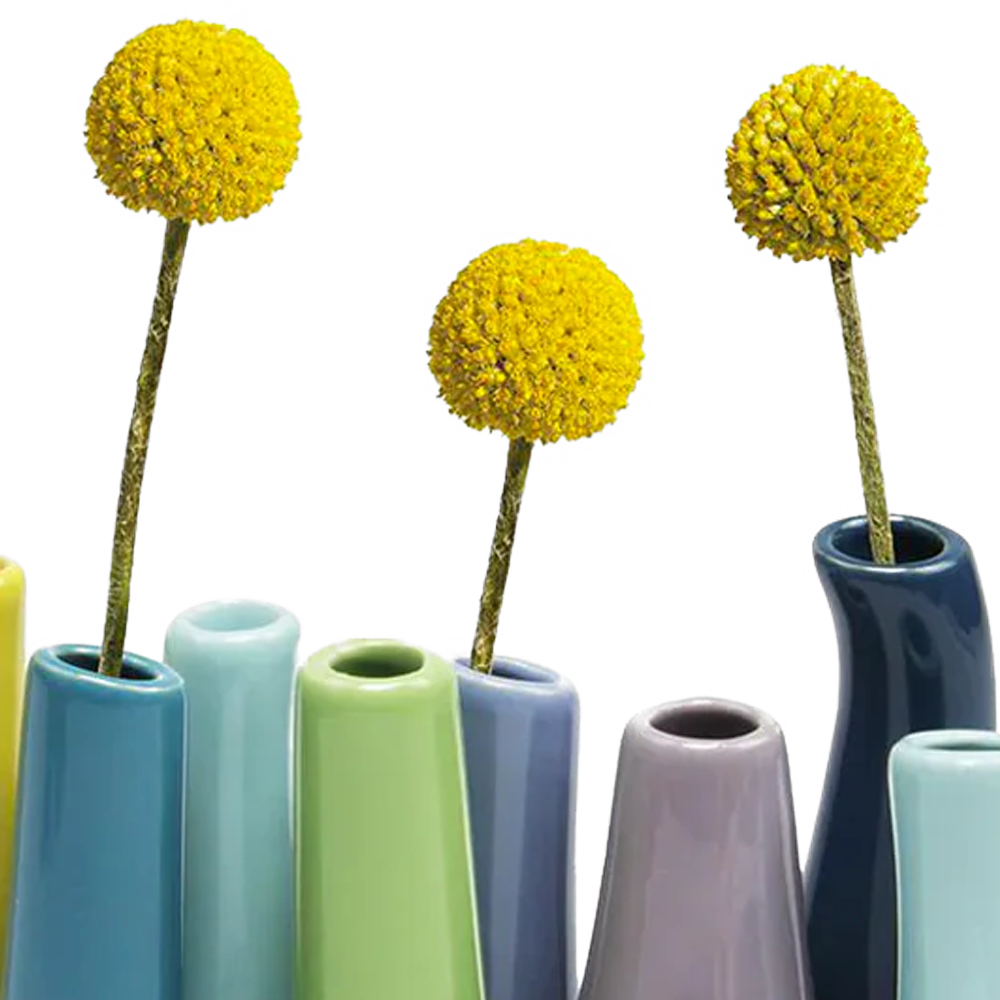 Pooley Colorful Bud Vase For Flower Arranging Rectangular