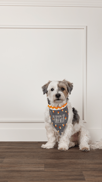 Treat Reversible Dog Bandana