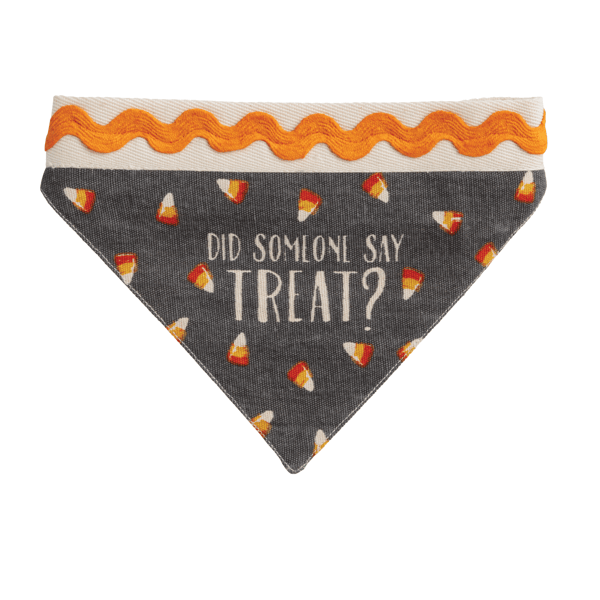 Treat Reversible Dog Bandana