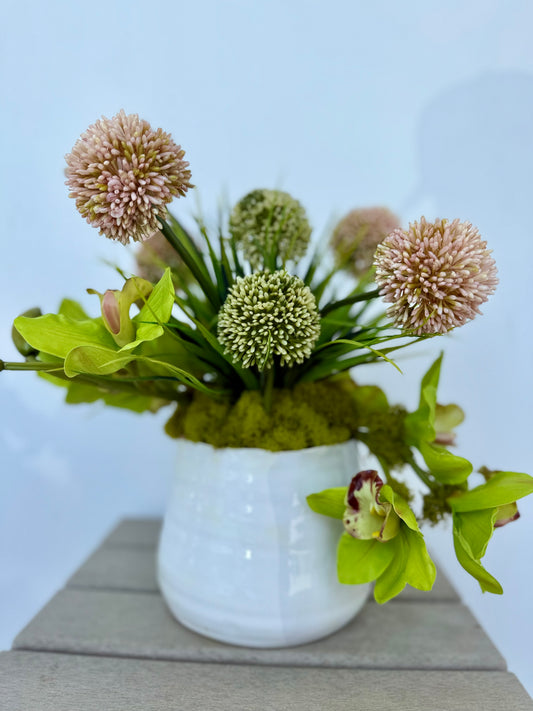Cymbidium Orchids with Allium blooms