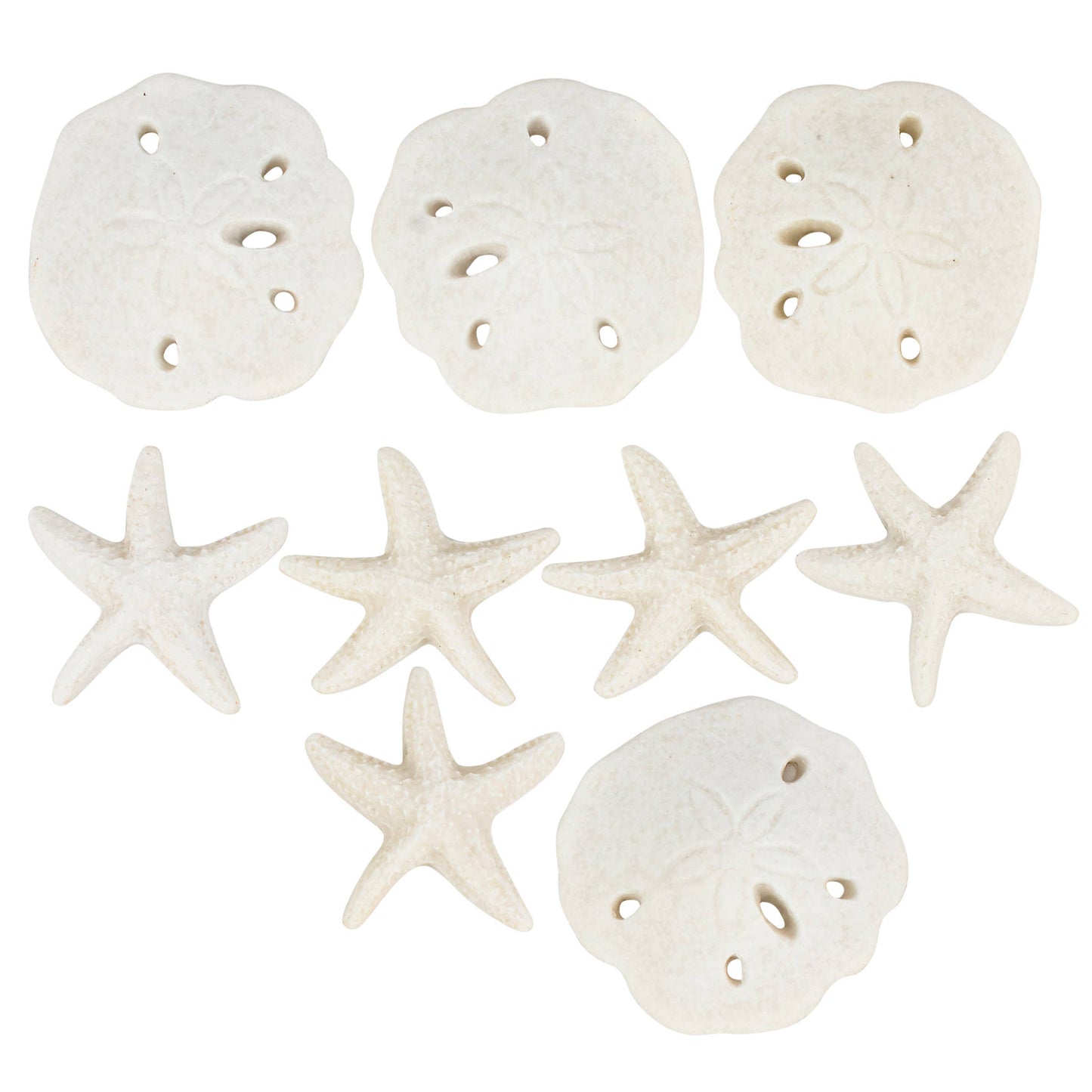 Tic Tac Shells Tabletop Game
