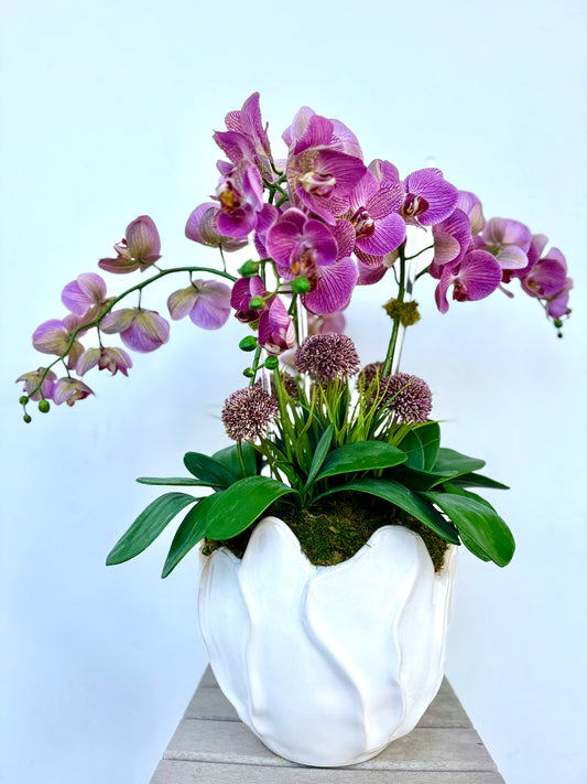 Purple Fantasy Orchid Arrangement with Allium