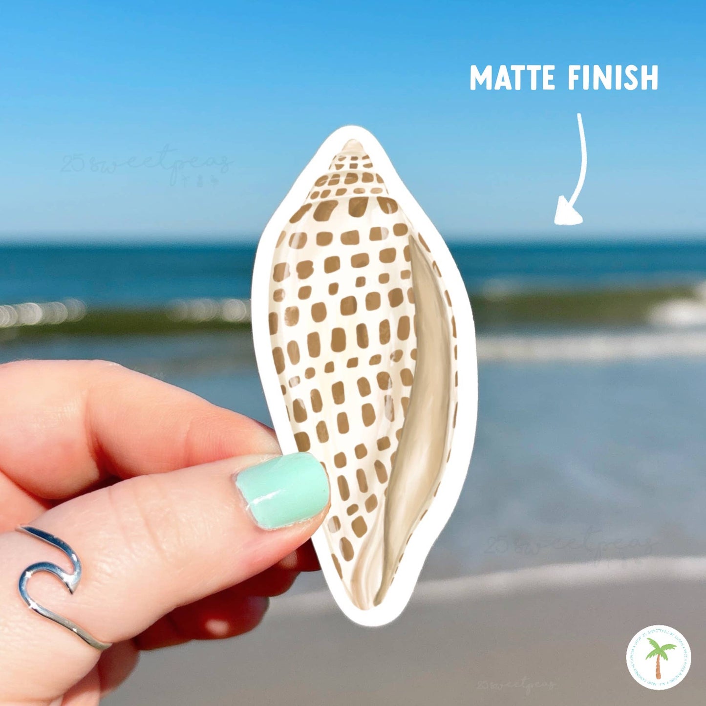 Junonia Shell Sticker, Beach Sticker