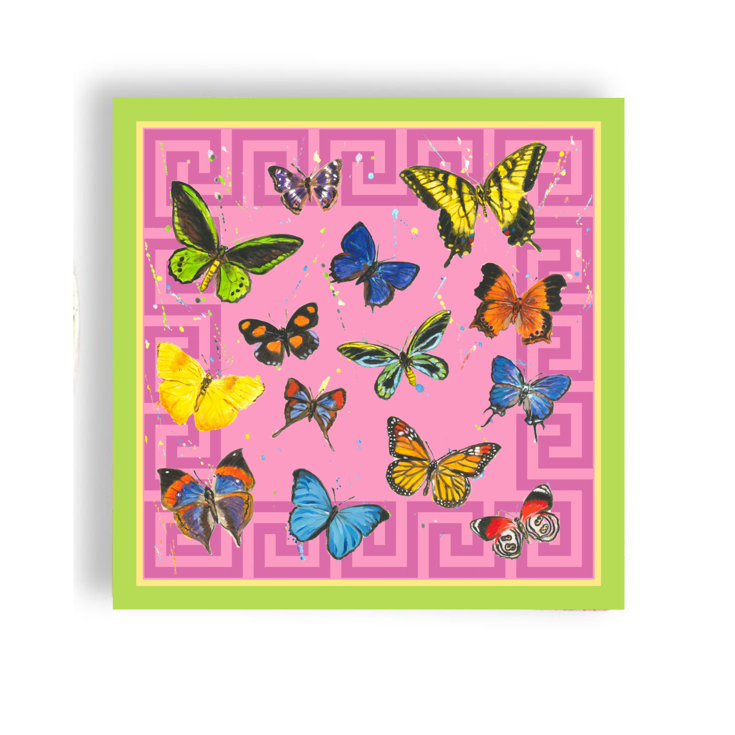 Butterfly Greek Key 24ct Cocktail Napkin Separates (3ply)