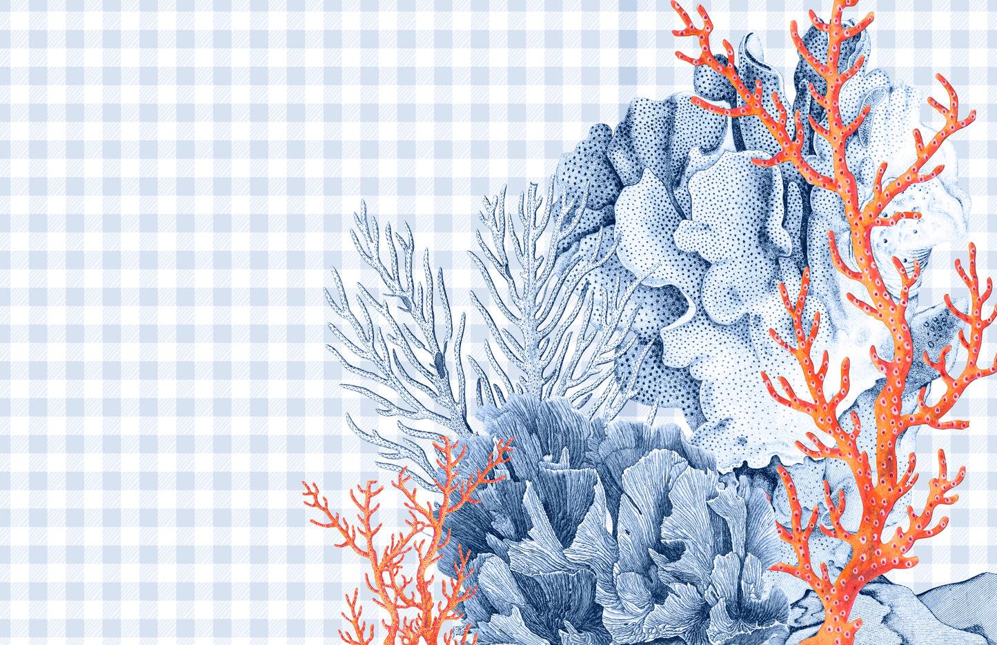 11x17 PREPPY PLEASE VOL 2 insert set of 10