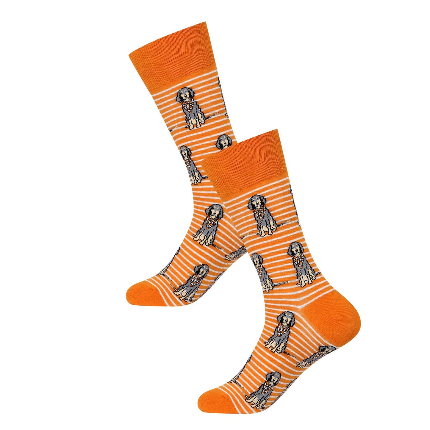 Sitting Bluetick Coonhound Socks