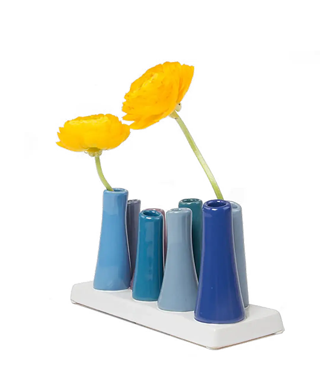 Pooley Colorful Bud Vase For Flower Arranging Rectangular