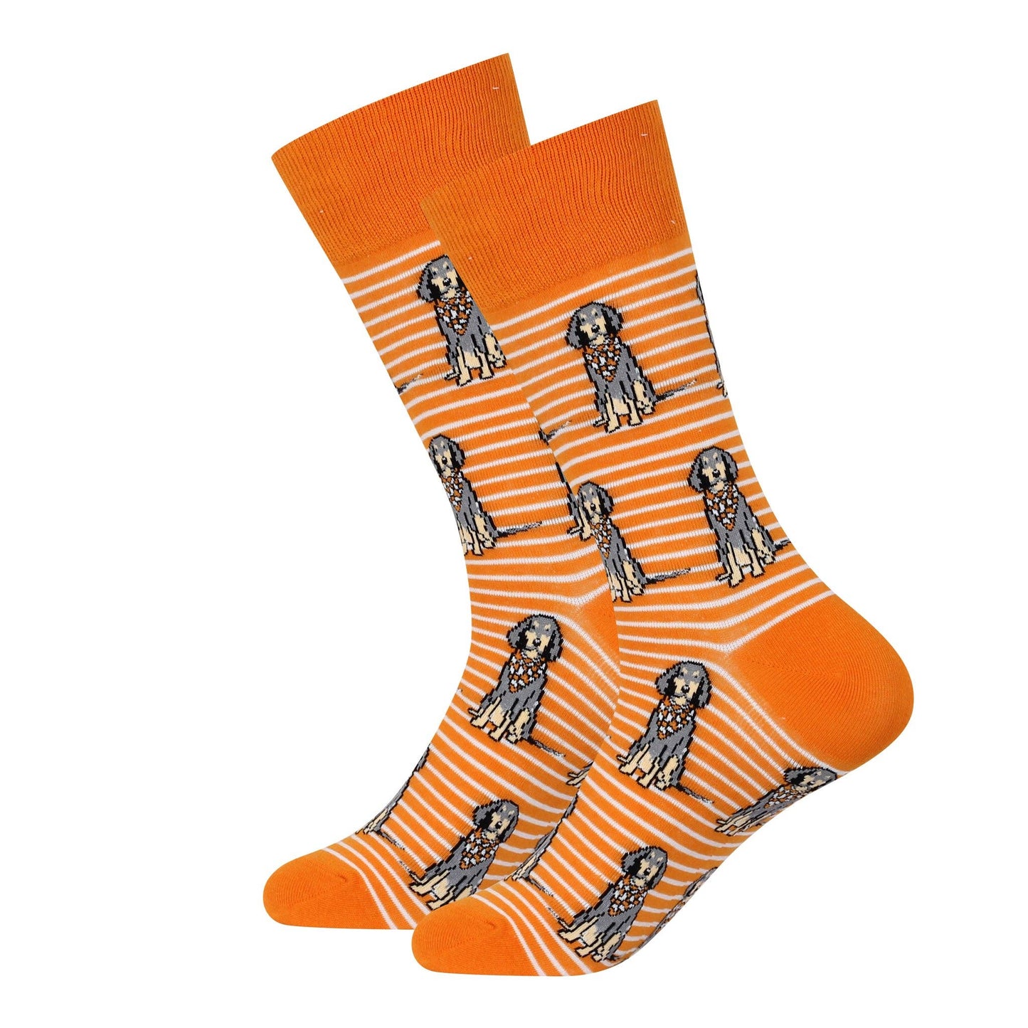Sitting Bluetick Coonhound Socks