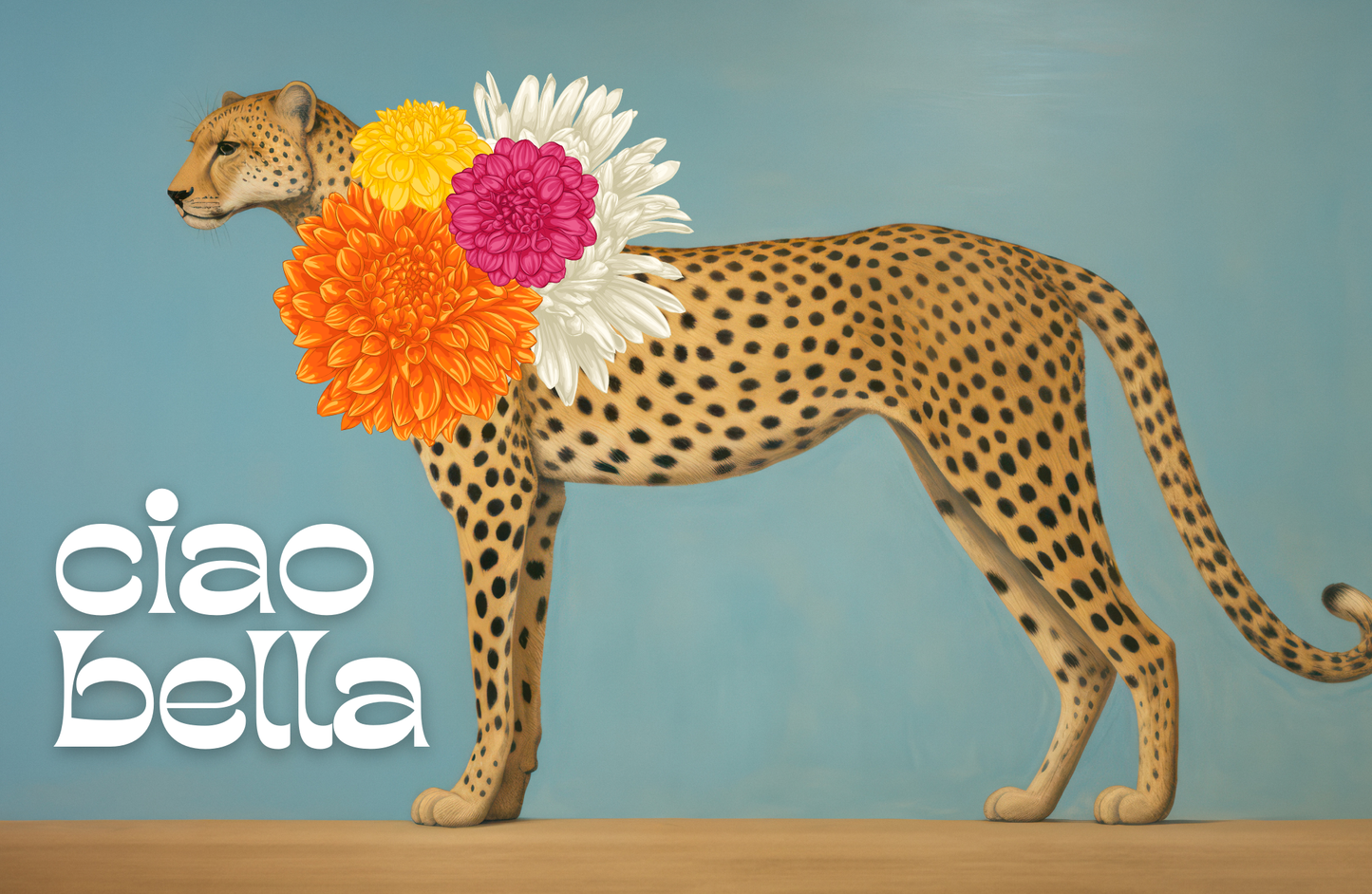 11x17 ECLECTIC MOODY insert set of 10