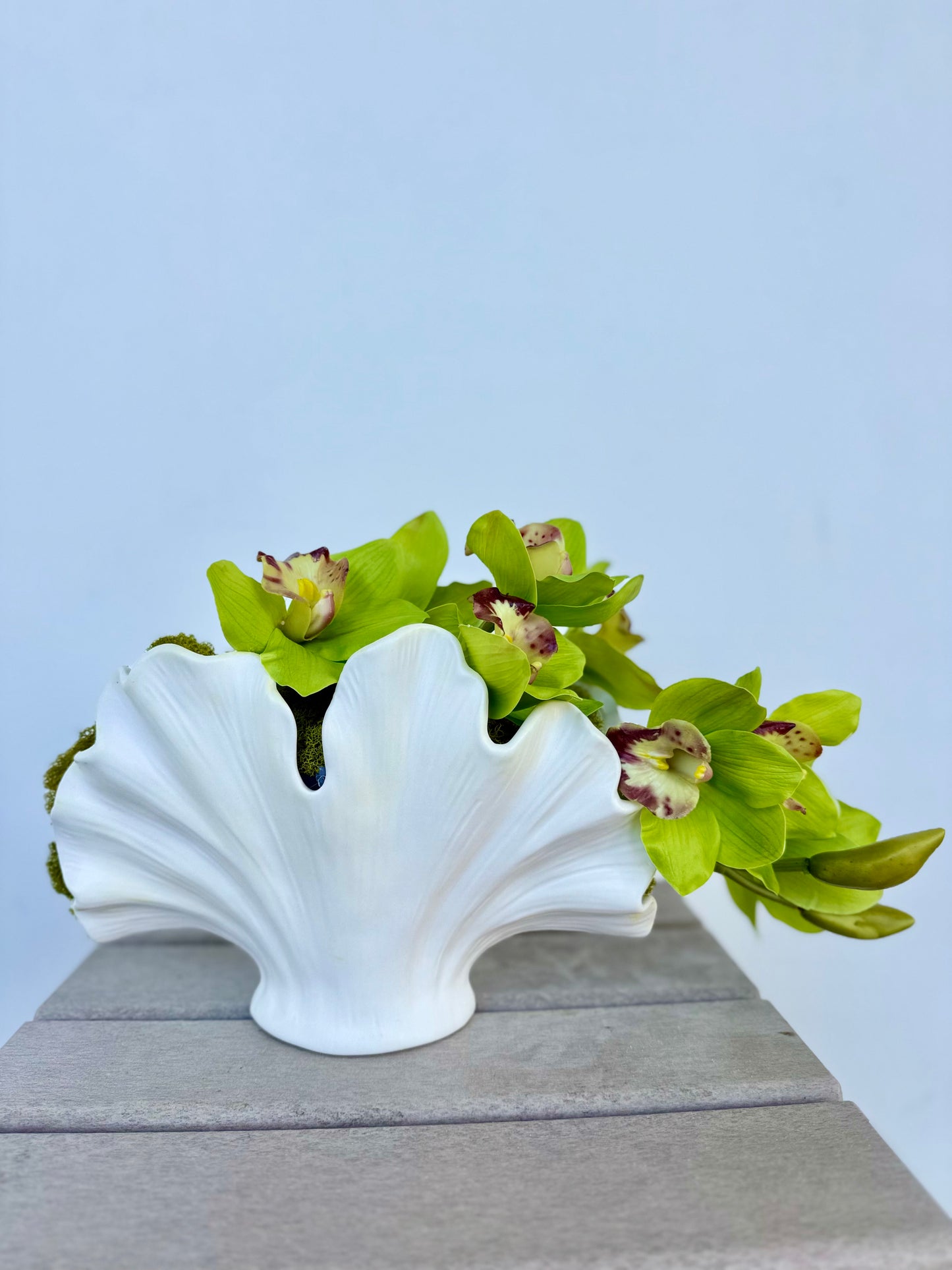 Cymbidium Orchid in Wavy Coral Vase