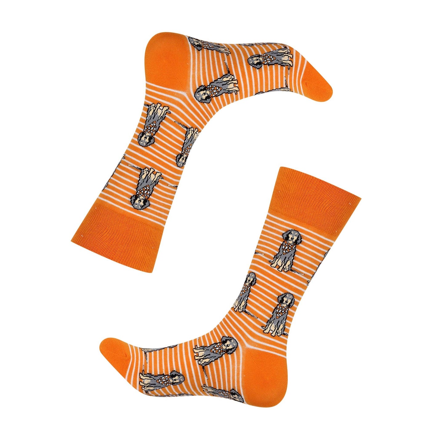 Sitting Bluetick Coonhound Socks