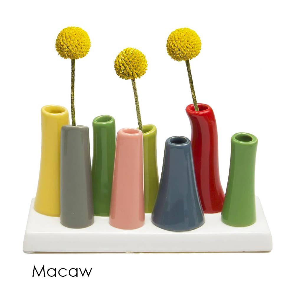 Pooley Colorful Bud Vase For Flower Arranging Rectangular