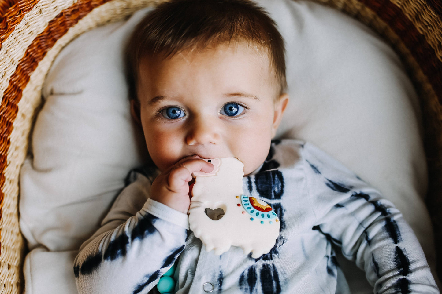 Pacifier Clip Teether Set