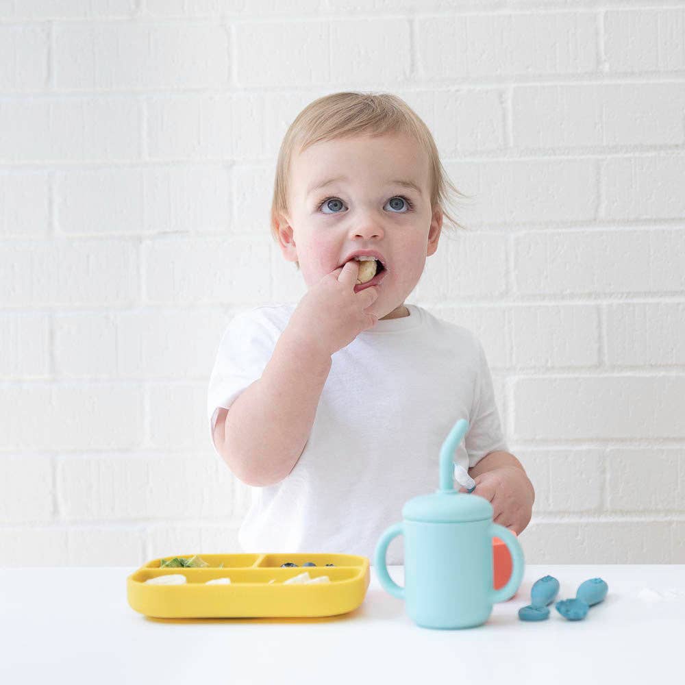 Circus Fun Learn to Eat Beginner Bundle