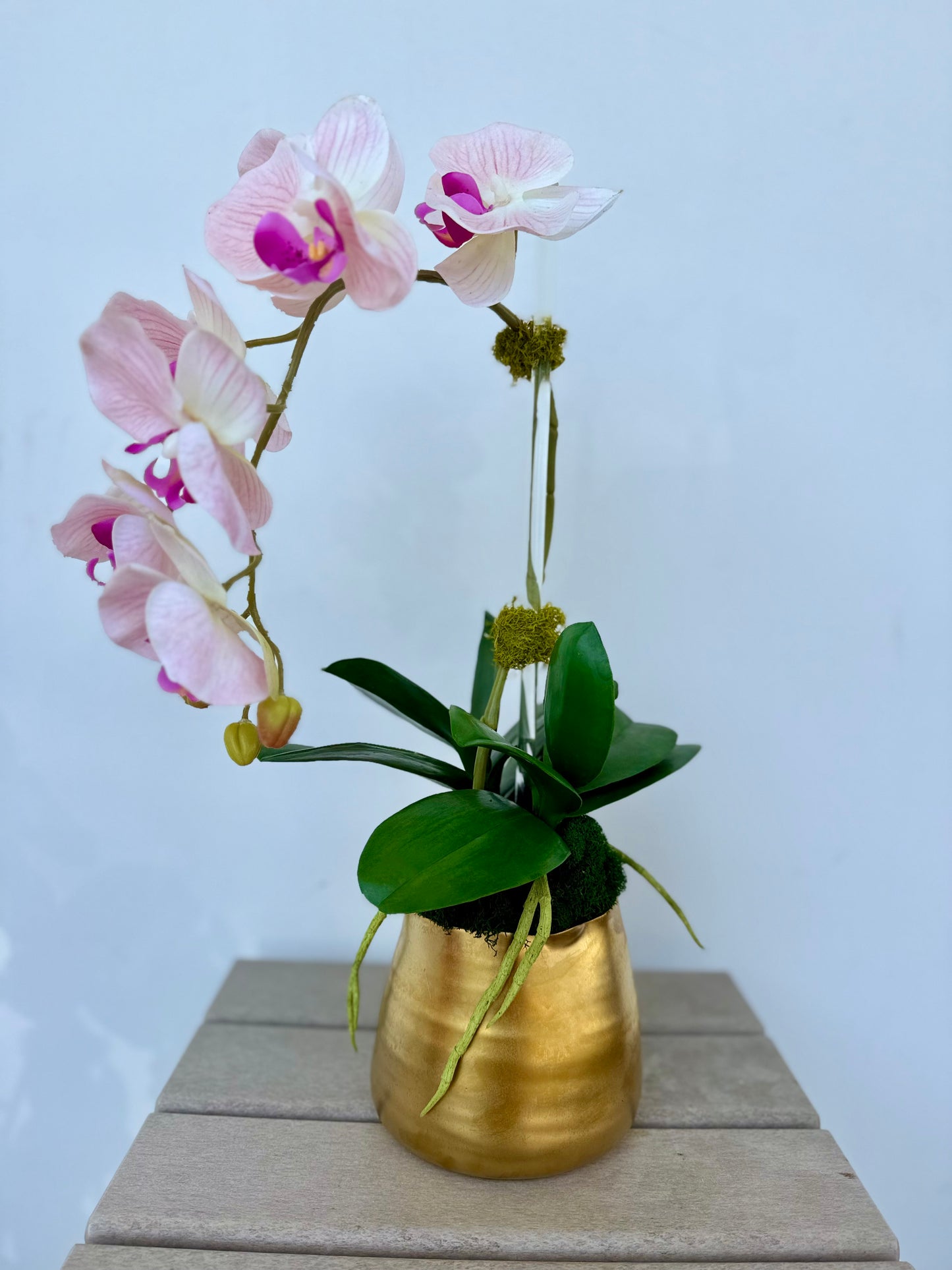 Pale Pink Orchid in Gold Cache Pot