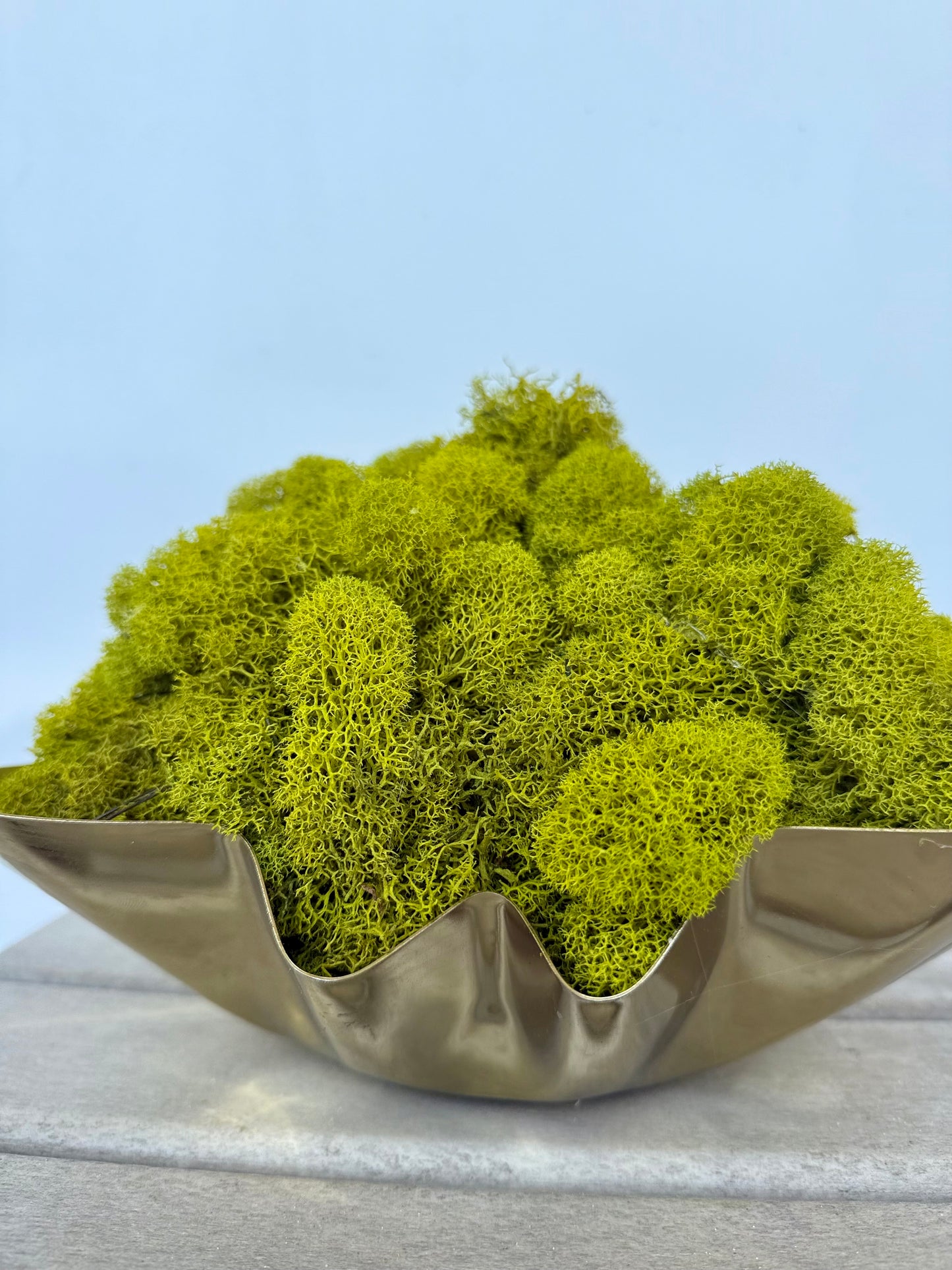 Reindeer Moss in Gold Fluted Bowl