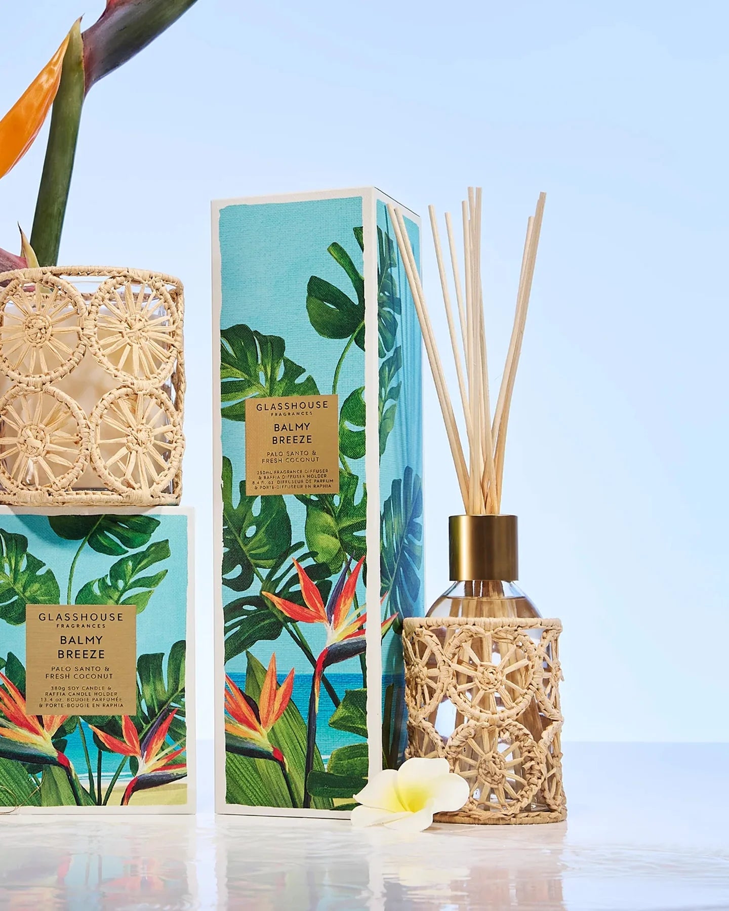 Diffuser 8.4 oz - Balmy Breeze