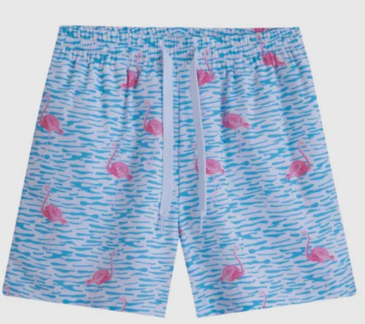 Youth Fancy Flamingo Swim Shorts