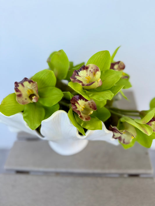 Cymbidium Orchid in Wavy Coral Vase