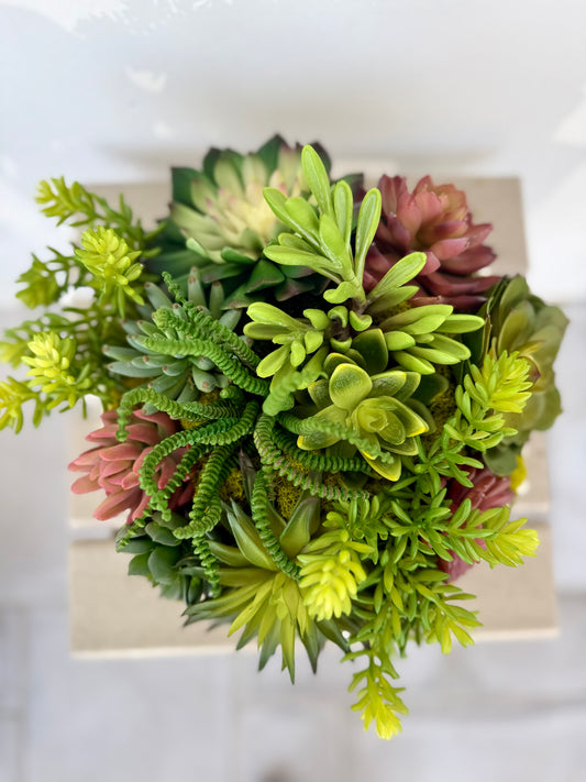 Succulent Garden Party