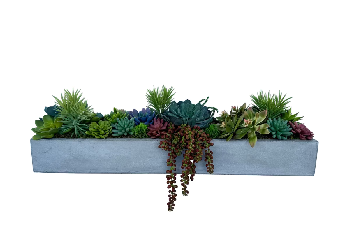 Long Concrete Succulent Arrangement - Thumbnail 2