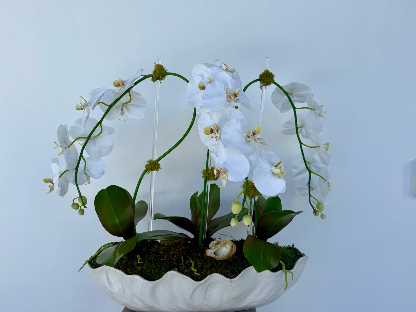 Large Orchid Scalloped Boat Arrangement