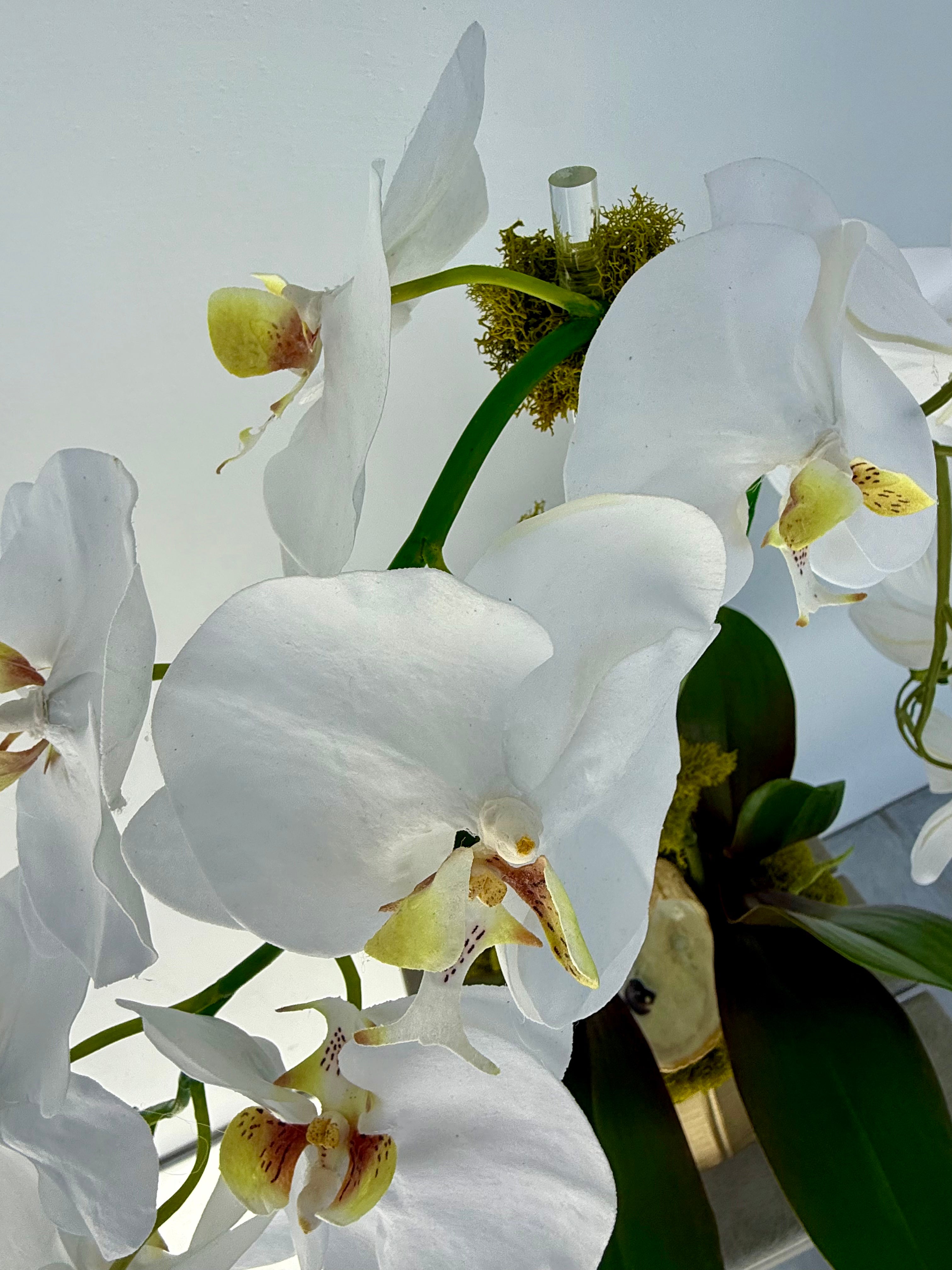 Double White Orchid in Gold Boat - Thumbnail 3