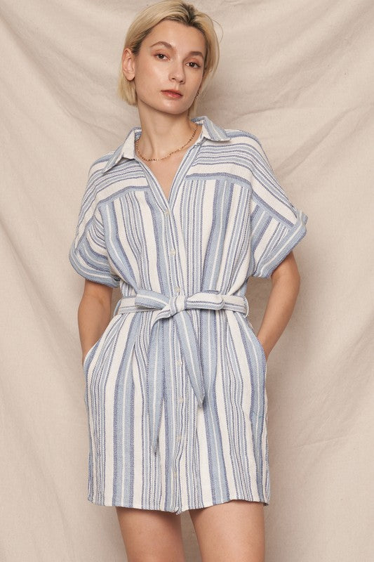 Blue and White Button down dress