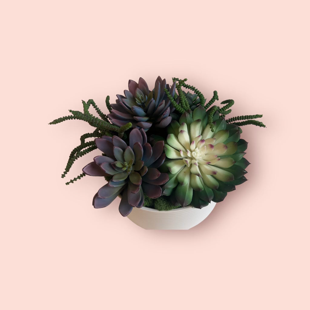 Bowl of Succulents