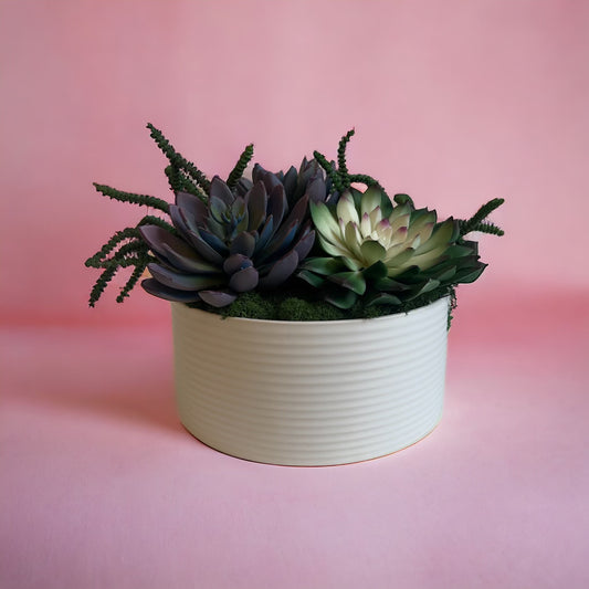 Bowl of Succulents