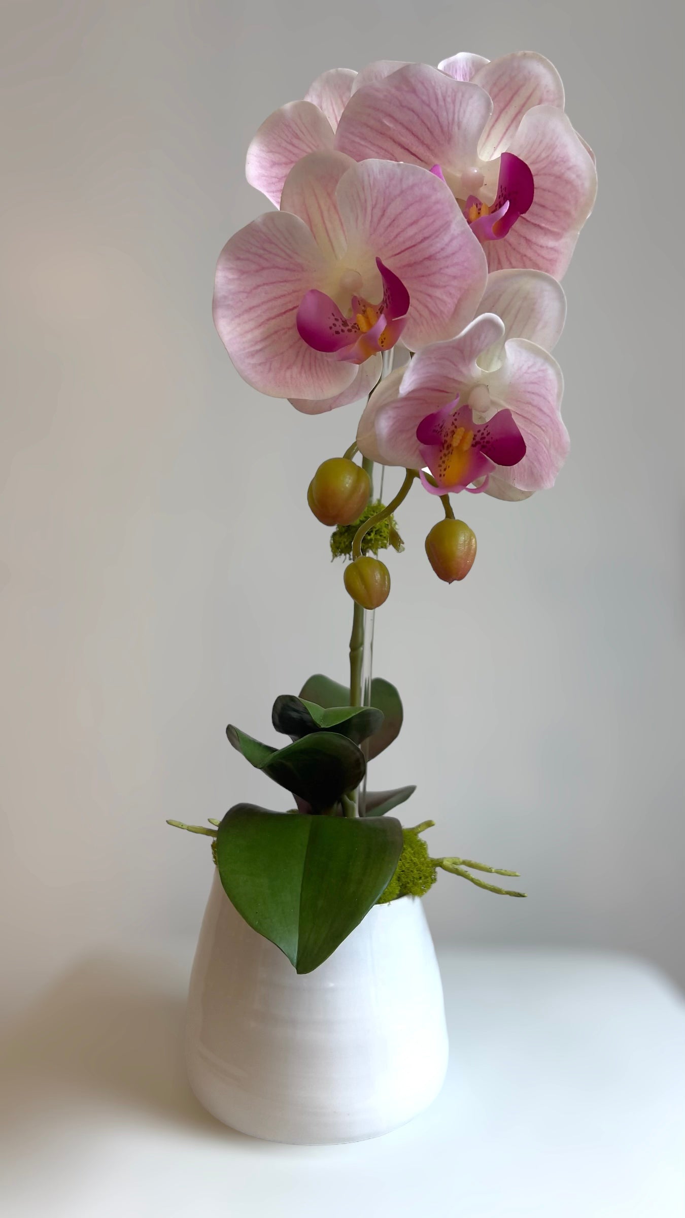 Single Orchid Arrangement