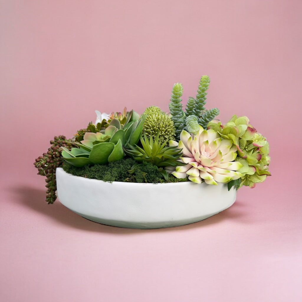 Large Bowl of Succulents