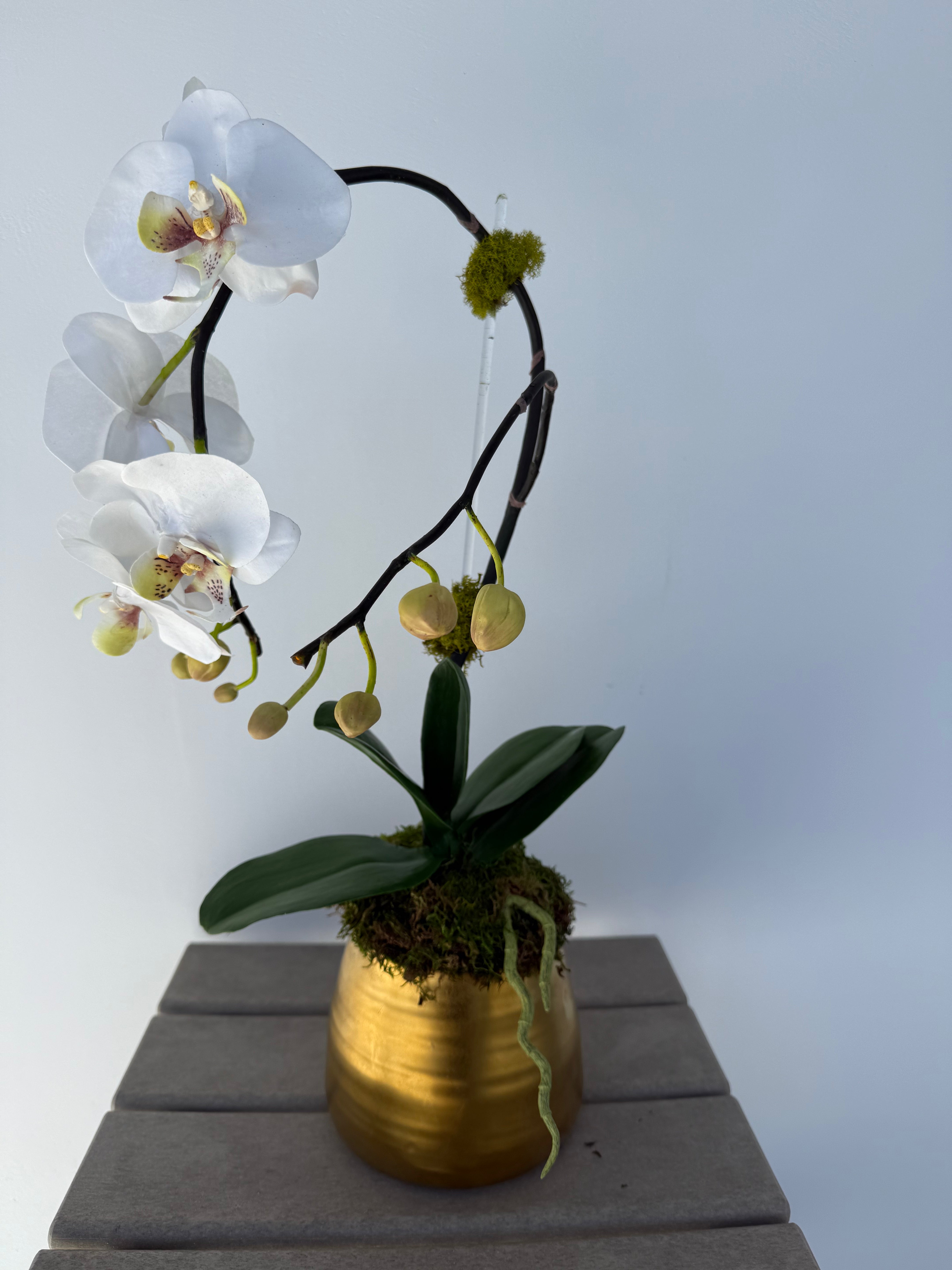 Small Gold Orchid Arrangement