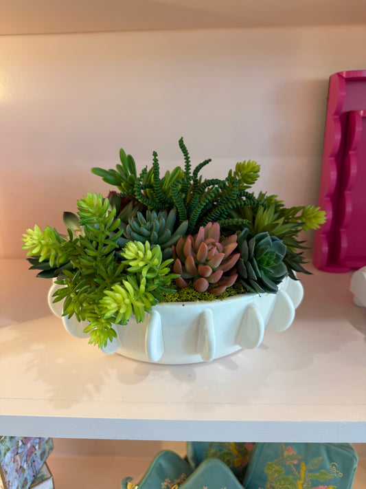 Succulent Bowl Arrangement